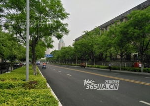 芜湖路微光志 精品工程改造中的倔强与温柔